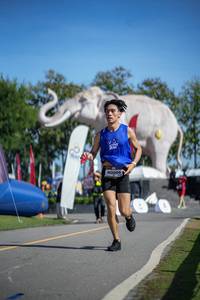 BIB: 
                            <button type="button" onclick="openModal(26542176)" class="btn btn-primary btn-sm float-right btn-popup" data-toggle="modal" data-target=".modal-high-quality">
                        <i class="fas fa-shopping-cart"></i> Add to Cart
                    </button>
                                            <button type="button" onclick="isThisMe(26542176, true)" class="btn btn-success btn-sm float-right btn-popup btn-isme hidden" data-toggle="tooltip" data-placement="bottom" title="นี่คือรูปของคุณใช่ไหม คลิกที่นี่เพื่อเอาเข้าอัลบั้ม">
                        <i class="fas fa-plus"></i> Add to album
                    </button>
                    <button type="button" onclick="isThisMe(26542176, false)" class="btn btn-warning btn-sm float-right btn-popup btn-isnotme hidden">
                        <i class="fas fa-ban"></i> Remove from album
                    </button>